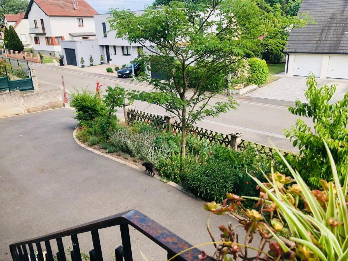 Gite Du Ried Bischwiller المظهر الخارجي الصورة