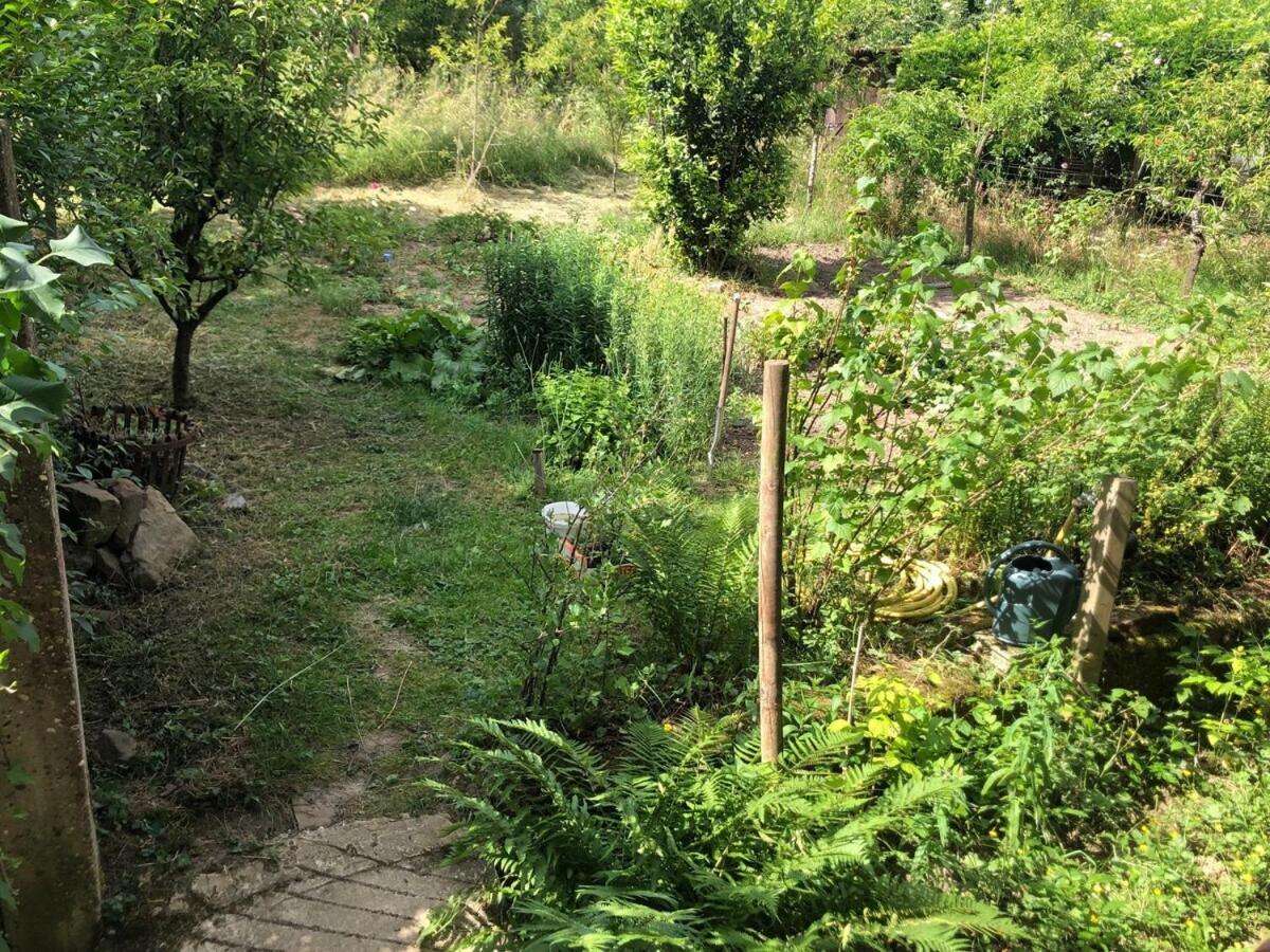Gite Du Ried Bischwiller المظهر الخارجي الصورة